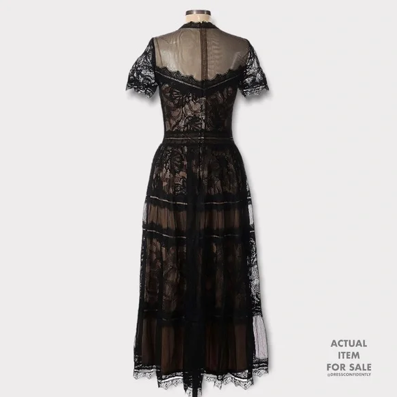 TADASHI SHOJI Camilla Lace Tea-Length Dress - Picture 6 of 7